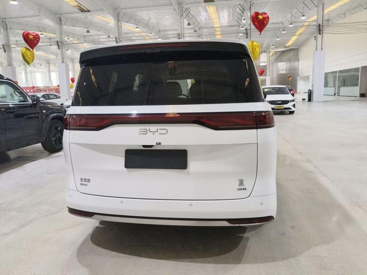 2025 DM-i 1.5T 180km Excellence photo 5