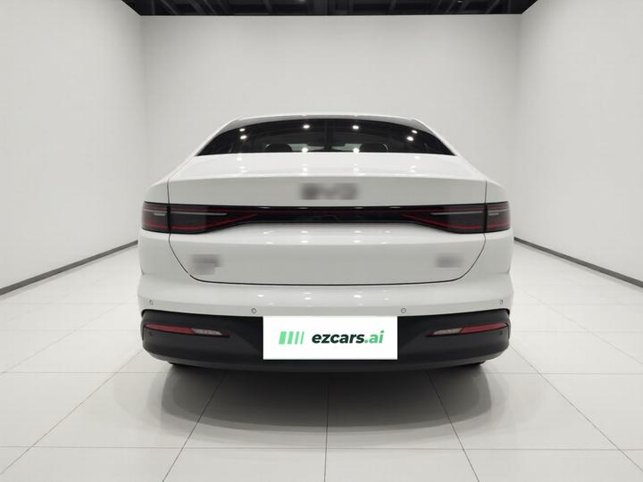 Seal 05 DM-i 2025 DM-i ADAS 55KM Luxury photo 5