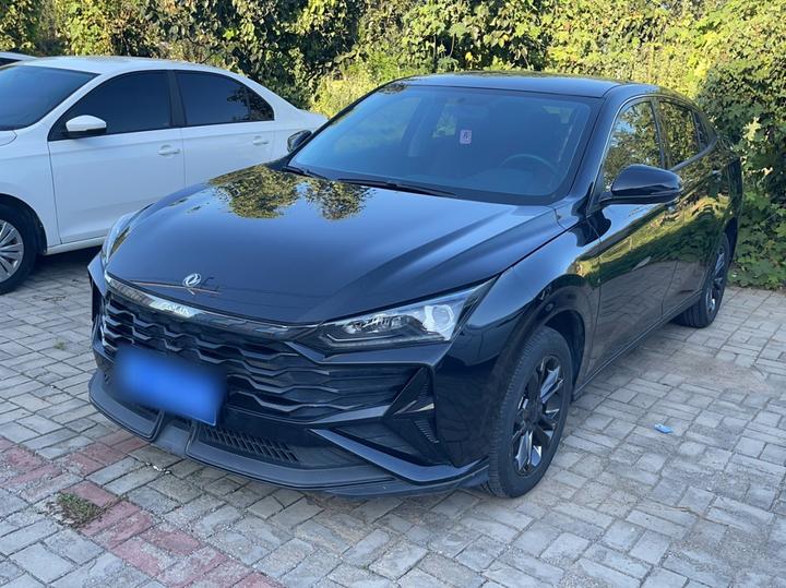 Yixuan 2024 1.5L AT