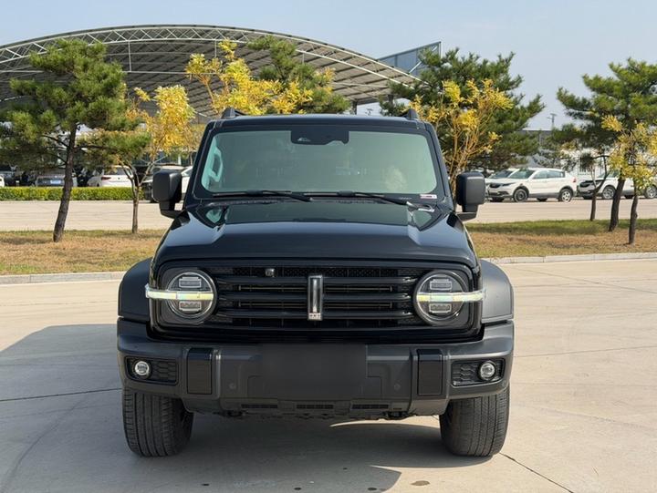 300 2021 Off-road 2.0T photo 2