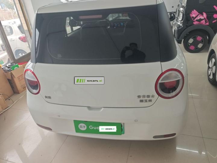 Nevo Changan Lumin 2024 130km photo 5