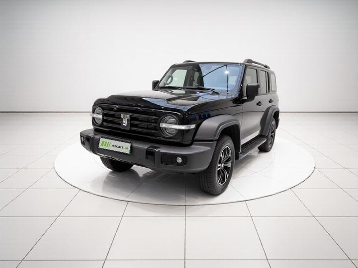 300 2024 2.0T
