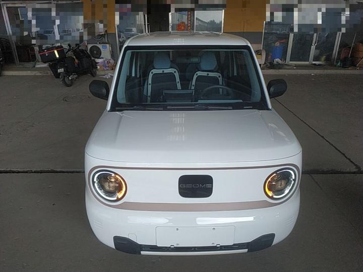 2023 Panda mini 200km Endurance Bear photo 2
