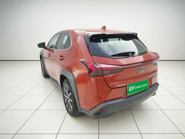 UX EV 2020 300e photo 4