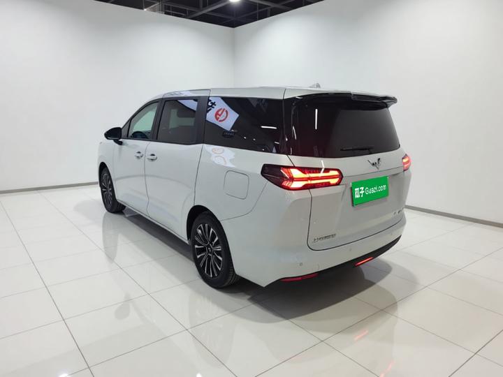 730 EV 2025 125km Luxury photo 4