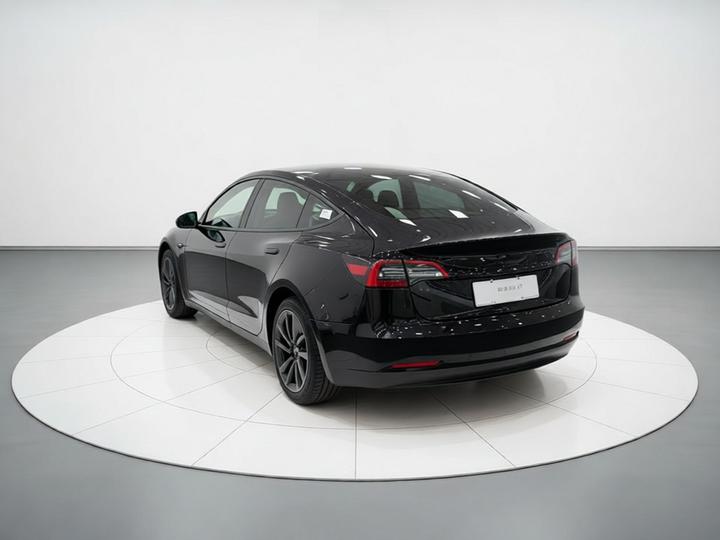 Model 3 2022 RWD photo 4