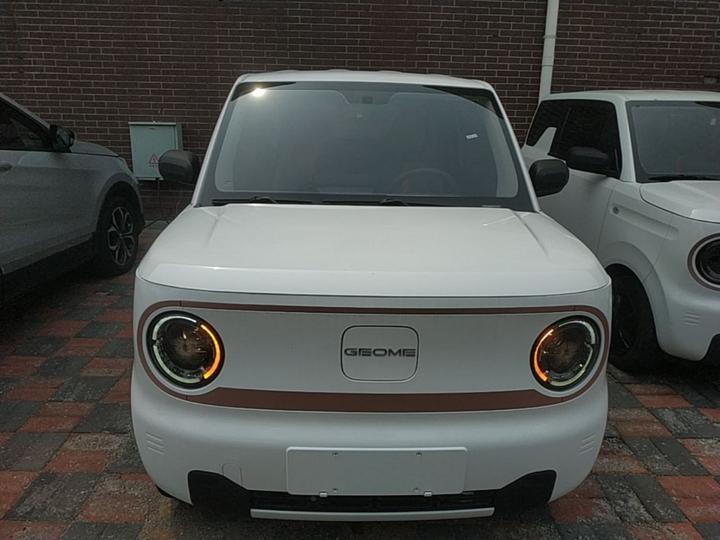 2023 Panda mini 200km Endurance Bear photo 2