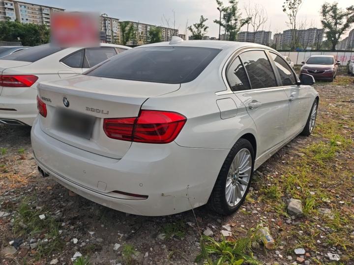 3 Series 2018 320Li Fashion photo 4