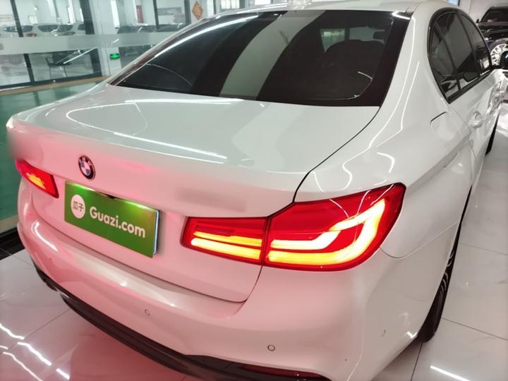5 Series 2019 530Li Leading M Sport Package photo 5