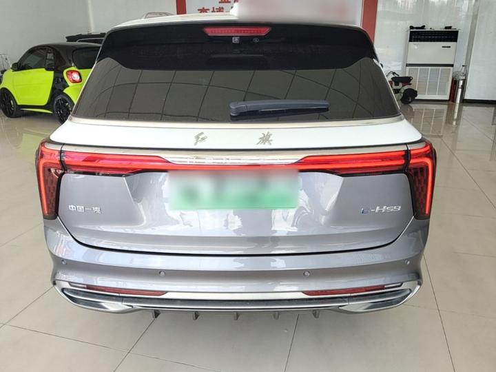 E-HS9 2021 510km 4-Seater photo 3