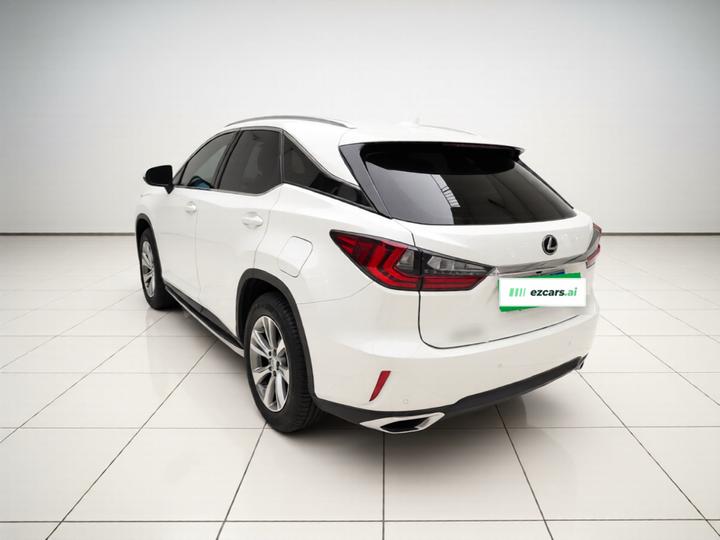 RX 2016 300 RWD Elite China V photo 4