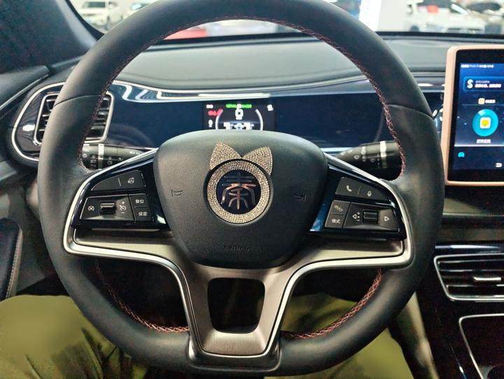Qin PLUS 2021 EV 500KM Luxury photo 4