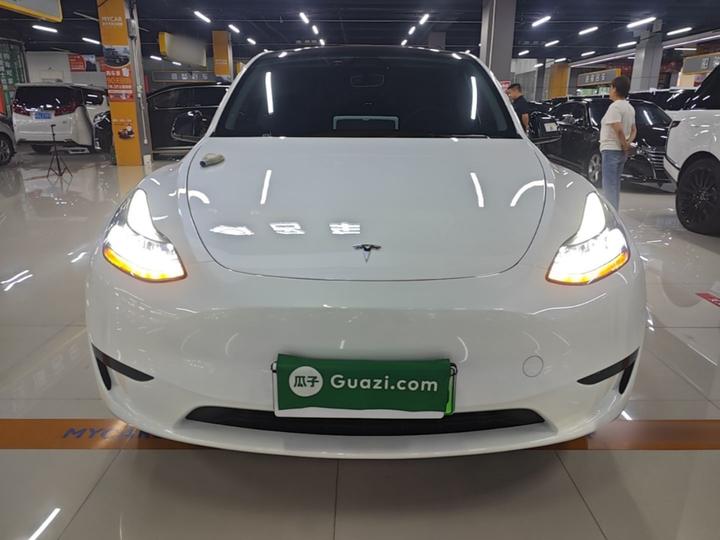 Model Y 2024 RWD photo 2