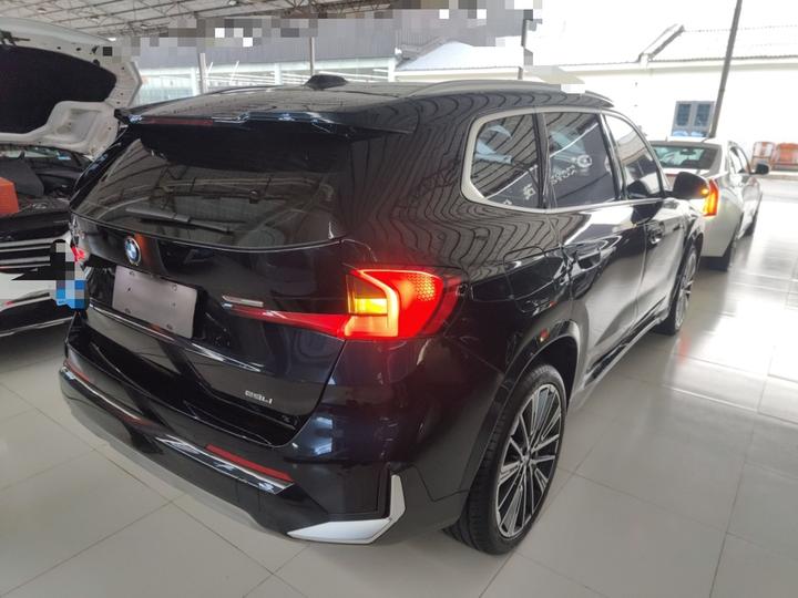 X1 2023 xDrive25Li X Design Package photo 4