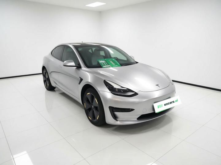 Model 3 2021 Facelift Standard Range RWD Upgraded 3D1 photo 3