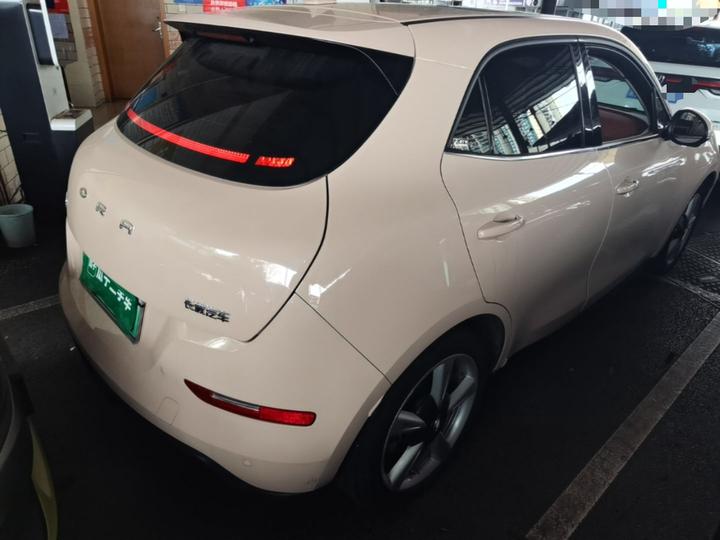 Good Cat 2022 400km Standard Range Premium LFP photo 4
