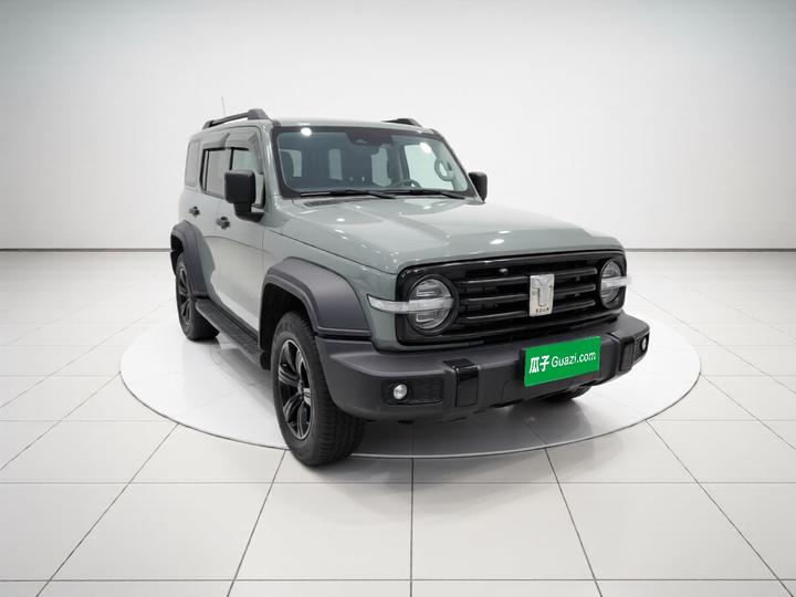 300 2021 Off-road 2.0T Conqueror photo 3