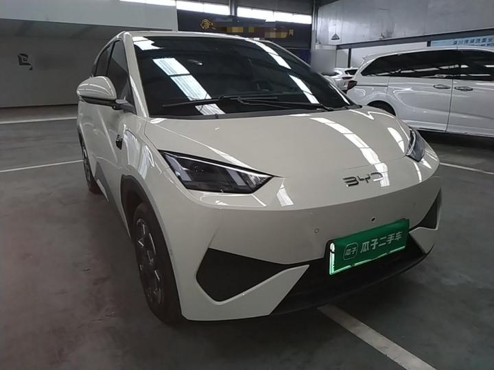 Seagull 2025 ADAS 305km photo 3