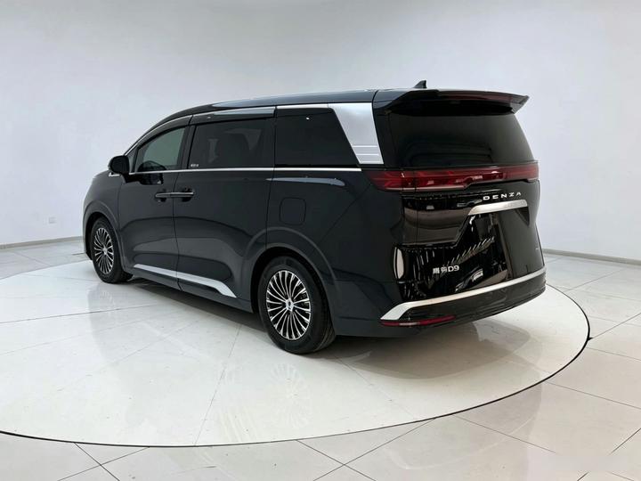 D9 2024 DM-i 980 AWD Noble photo 4