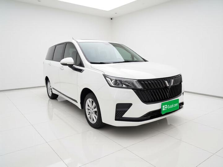 Wuling 2022 1.5L MT Elite photo 3