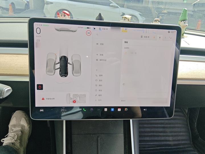 Model 3 2020 Facelift Standard Range RWD Upgraded photo 4