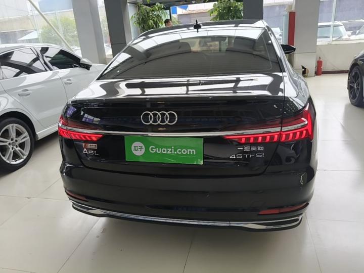 A6L 2023 40 TFSI Luxury photo 5