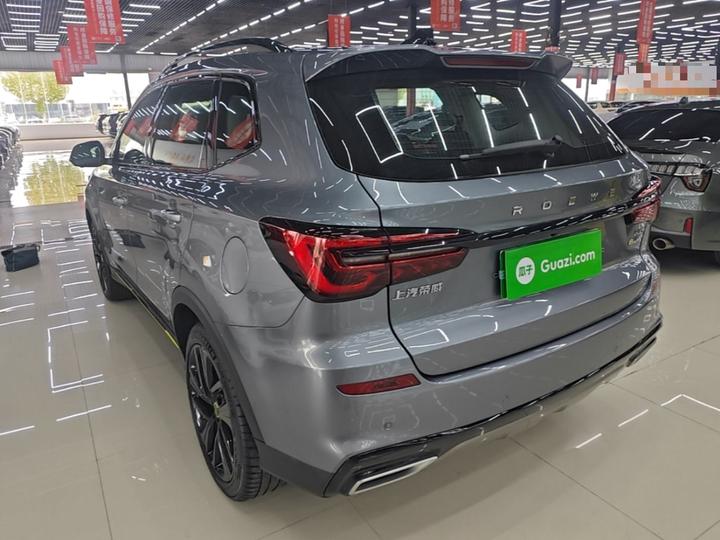 RX5 EV 2020 ePLUS Luxury photo 4