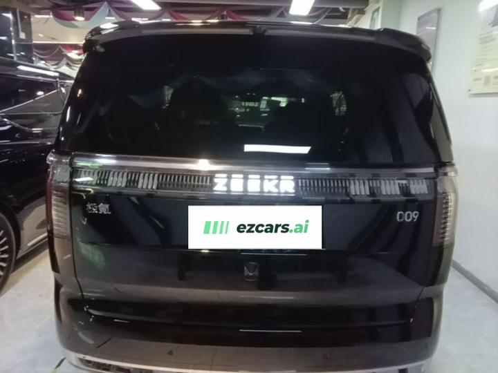 009 2024 6-Seater Executive AWD 108kWh photo 5