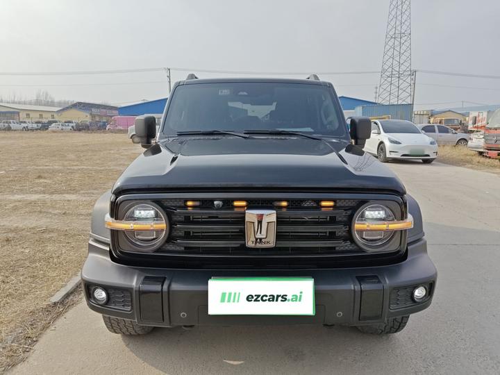 300 2021 Off-road 2.0T Conqueror photo 2