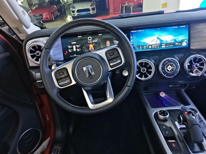 300 2021 Off-road 2.0T Conqueror photo 2