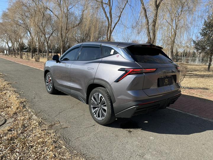 Dasheng 2022 1.6T DCTPRO photo 3