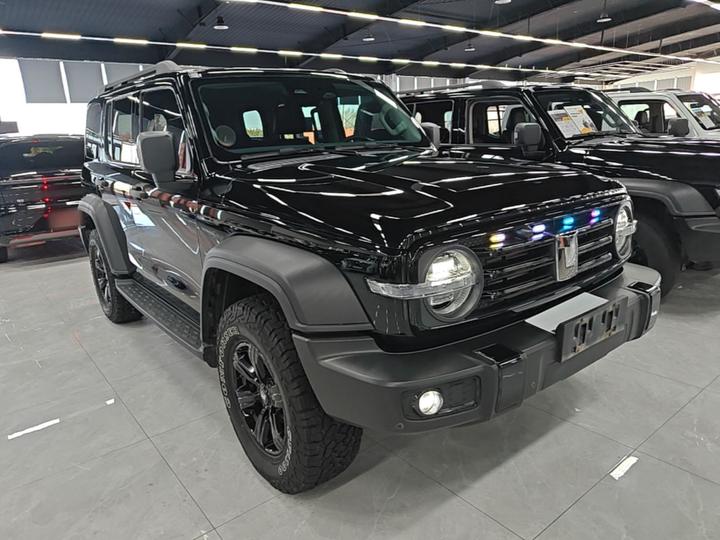 300 2024 2.0T Conqueror photo 3