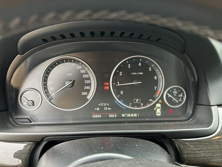 5 Series 2014 525Li Luxury Design Package photo 6