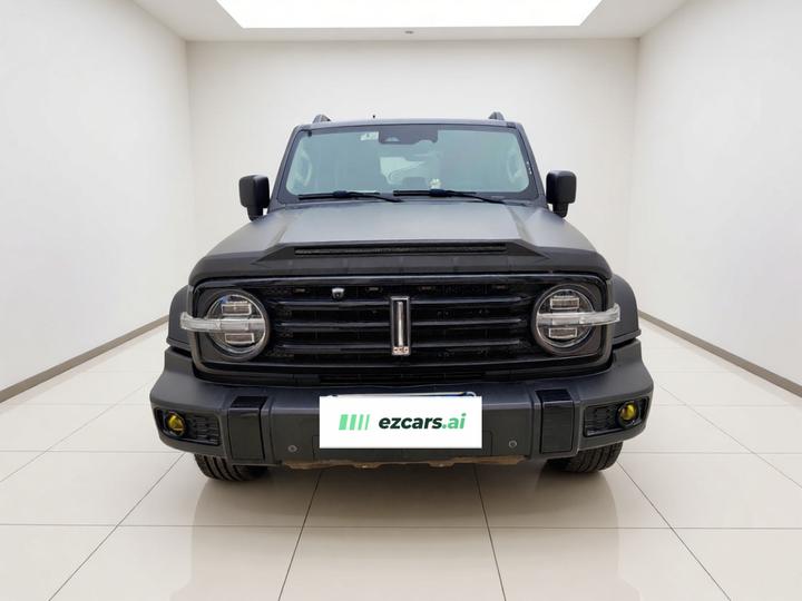 300 2021 Off-road 2.0T Conqueror photo 2