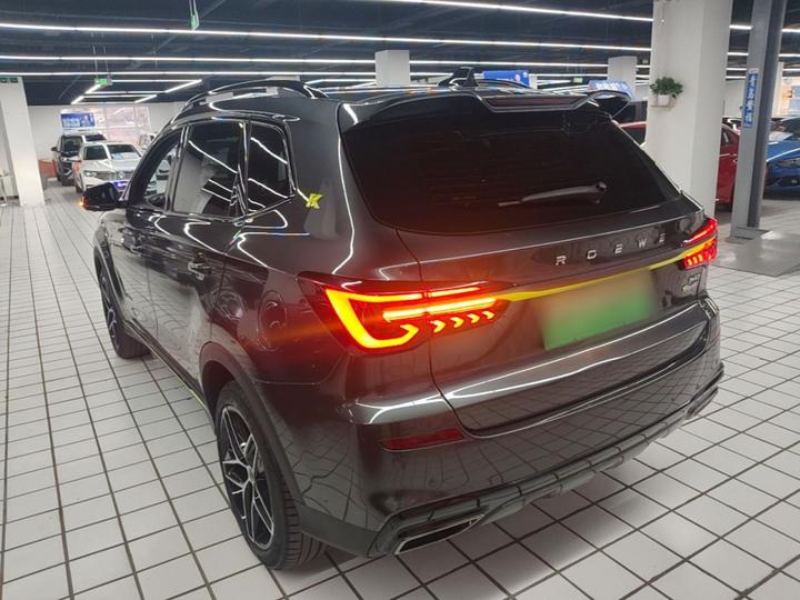RX5 EV 2021 ePLUS Luxury photo 4