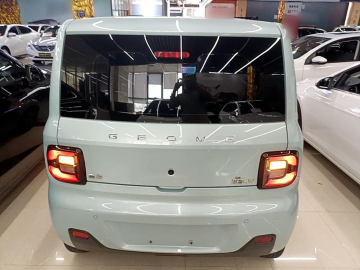 2023 Panda mini 200km Endurance Bear photo 5