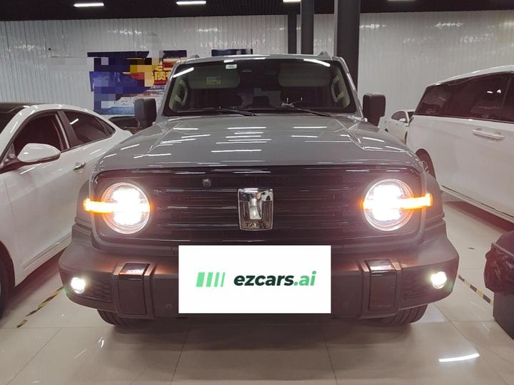 300 2021 Off-road 2.0T Conqueror photo 2