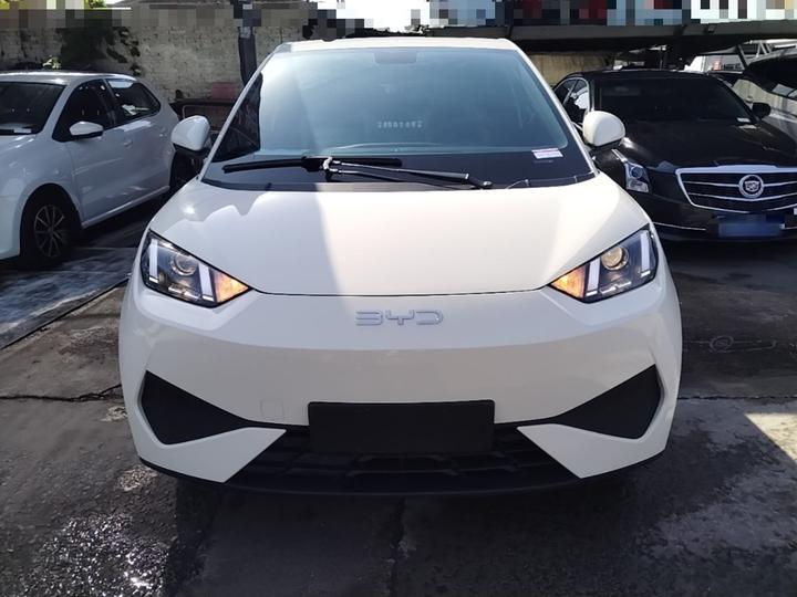 Seagull 2025 ADAS 305km photo 2