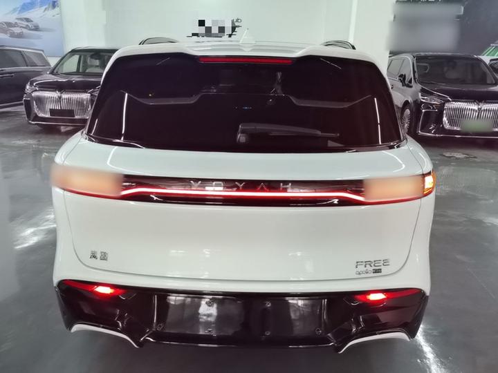 Voyah FREE 2025 318 259km AWD Explorer photo 3
