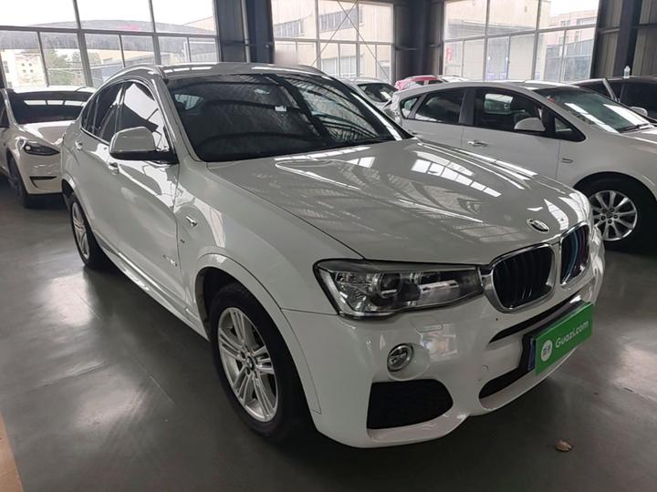 X4 2016 xDrive20i M Sport photo 3