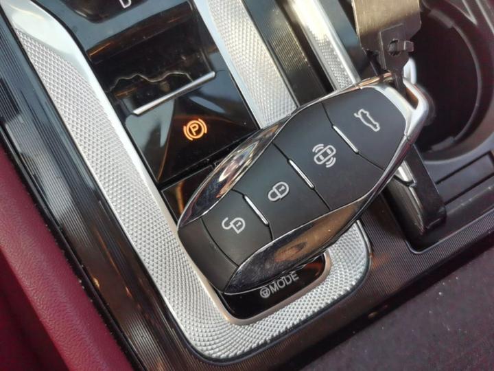 H5 PHEV 2025 130 photo 8