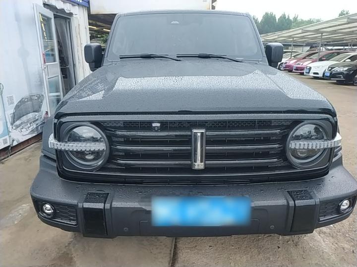300 2021 Off-road 2.0T photo 2