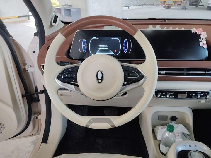 Good Cat 2022 400km Standard Range Premium LFP photo 6