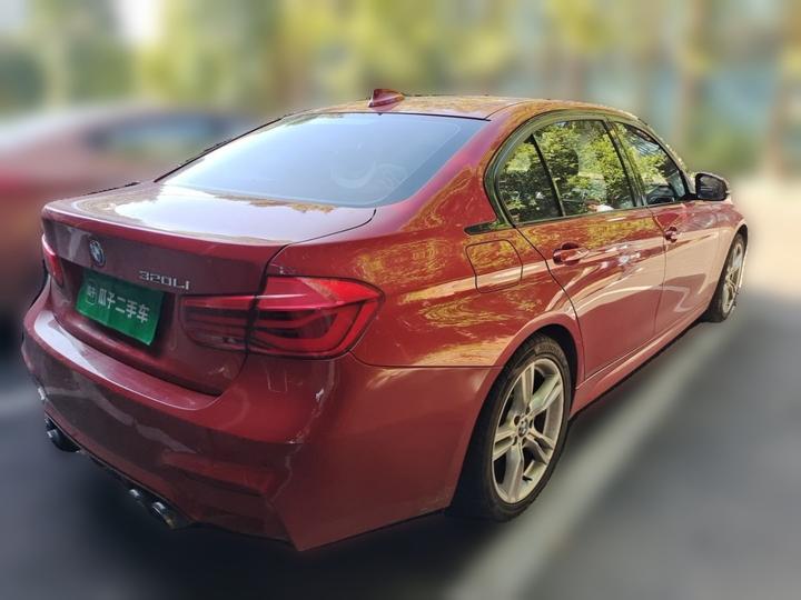 3 Series 2019 320Li M Sport Package photo 6
