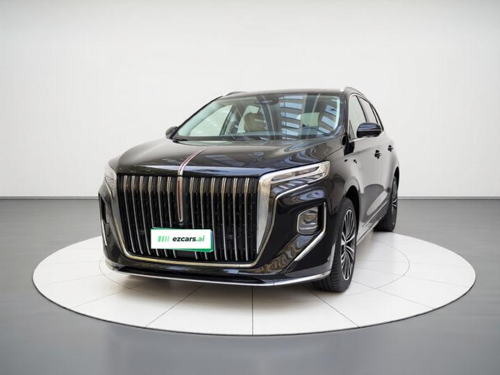 HQ9 2024 2.0T Luxury photo 2