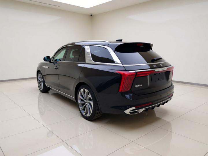 E-HS9 2021 510km 4-Seater photo 4