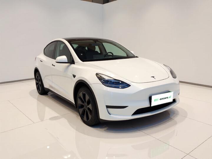 Model Y 2024 RWD photo 3