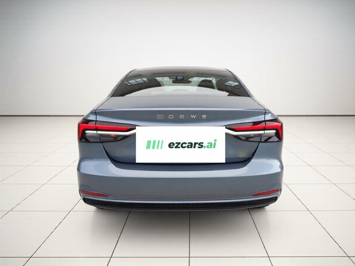 i6 MAX EV 2022 EV 500 Exclusive photo 5