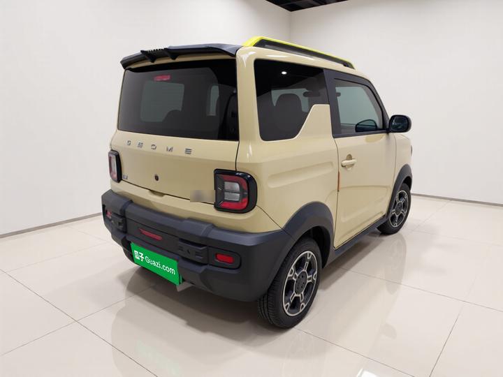 2025 210km Panda photo 6