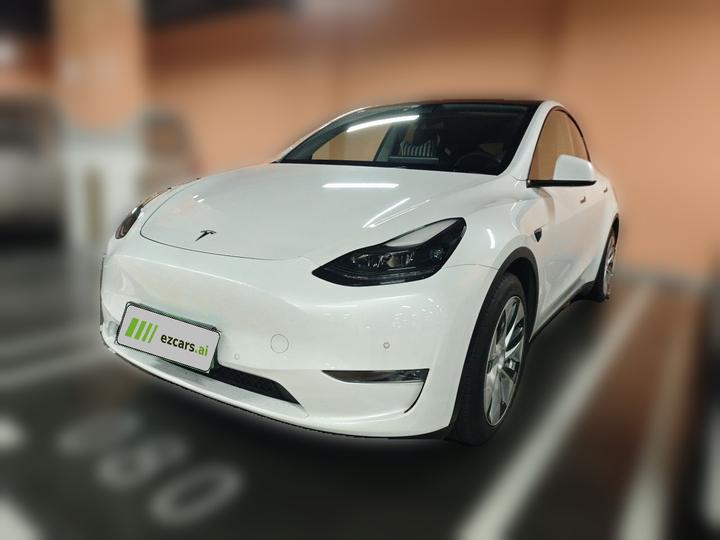 Model Y 2021 Standard Range RWD